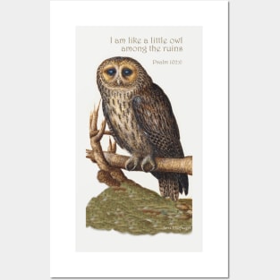 Lispe Little Owl Among the Ruins Posters and Art